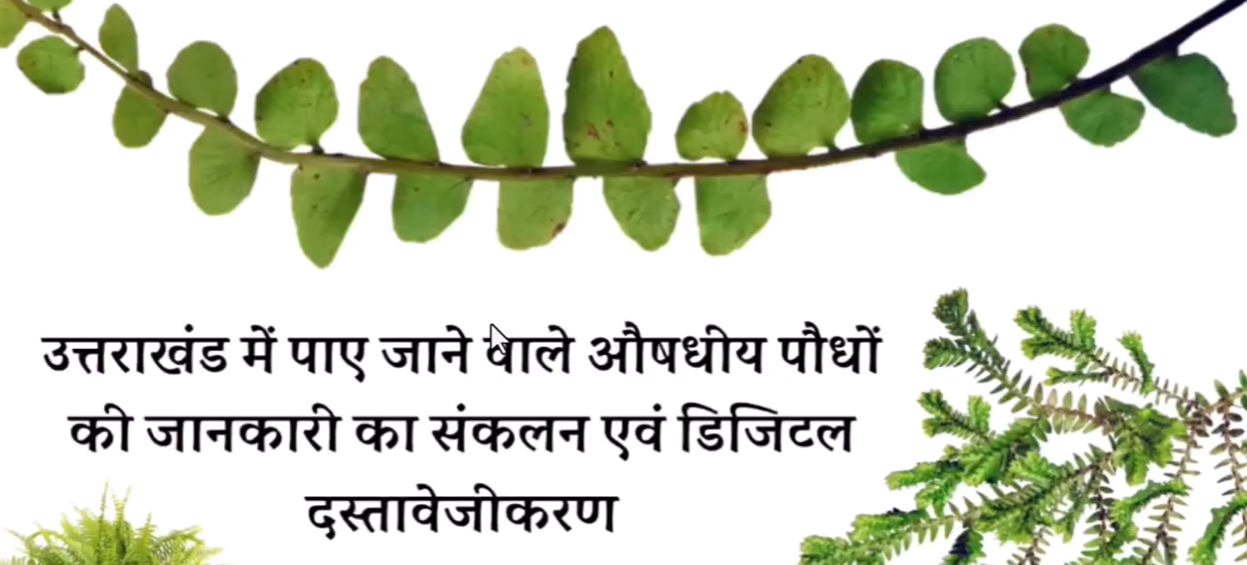 औषधीय पौधों का डिजिटल संग्रह एवं QR Code- Rakhi Pandey, DIET Dehradun tutorial — SCERT Uttarakhand