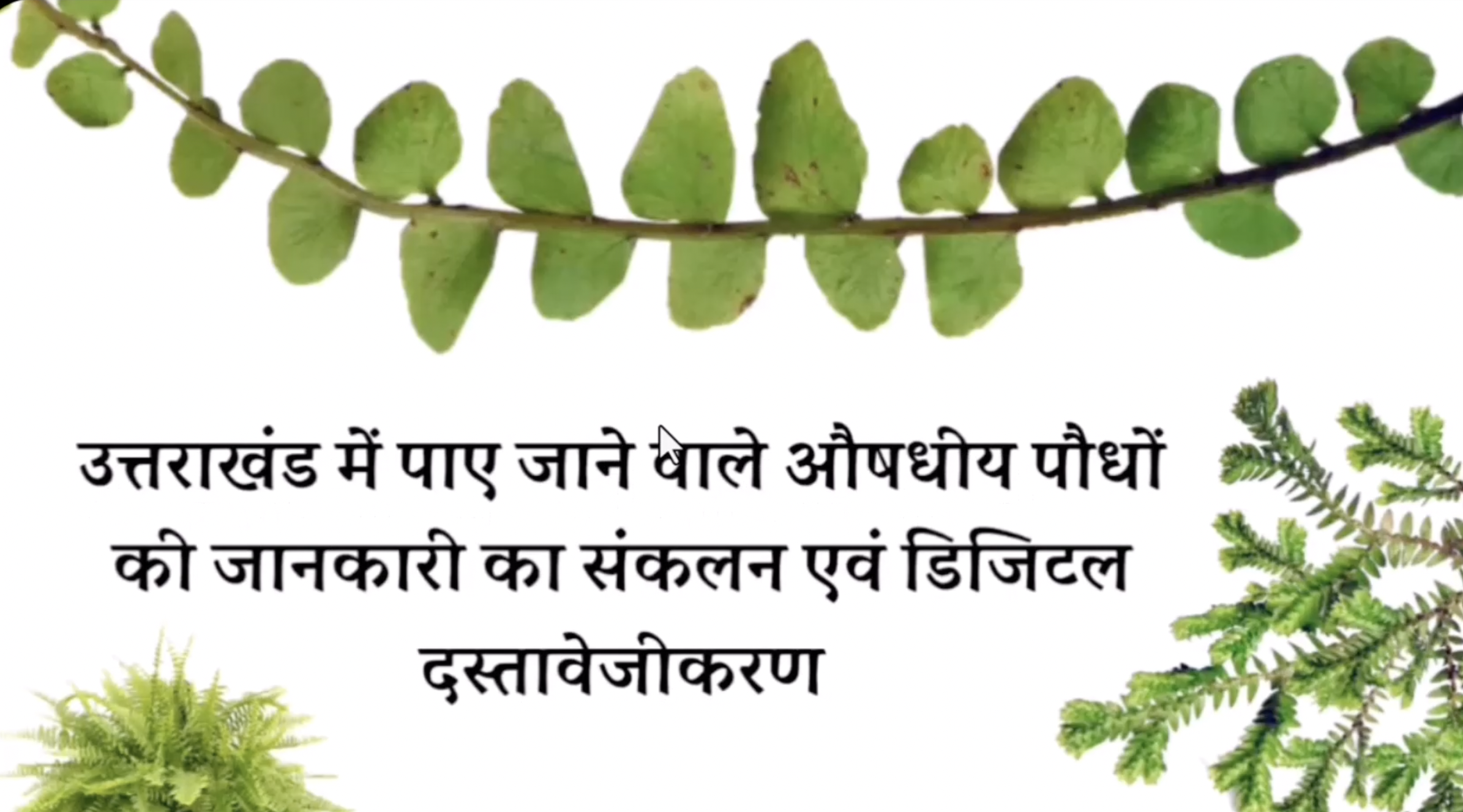 औषधीय पौधों का डिजिटल संग्रह tutorial — SCERT Uttarakhand